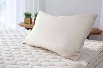 Organic Kapok Pillow