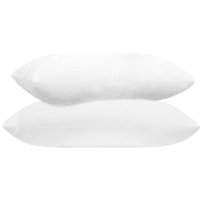 Free Dream Pillow Set